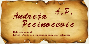 Andreja Pečinoćević vizit kartica